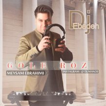 دانلود آهنگ جدید میثم ابراهیمی به نام گل رز (ریمیکس دیجی عباده)